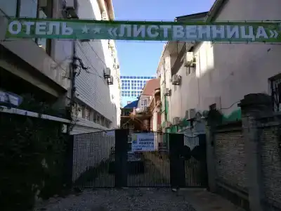 Лиственница - 16