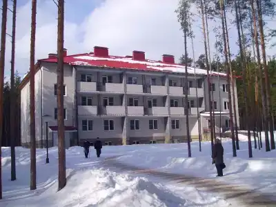 Русский лес - 0