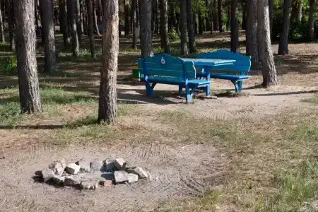 Ясная поляна - 23