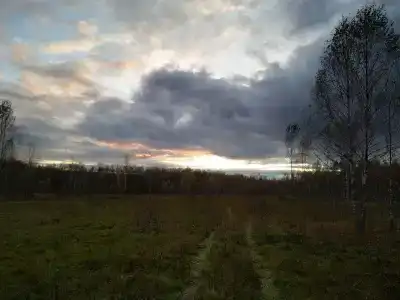 Кемпинг в Петрищево - 17