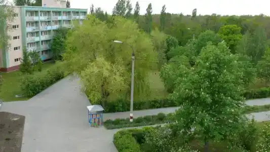 Светлана - 8