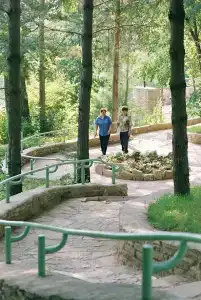 Варзи-Ятчи - 2