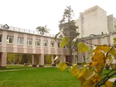 Вольгинский - 2
