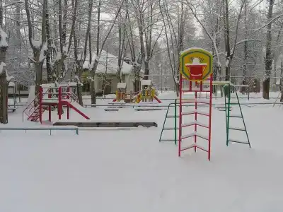 Большая Ельня - 1