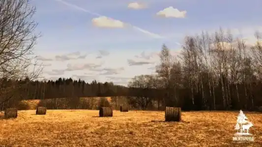 Междуречье - 22