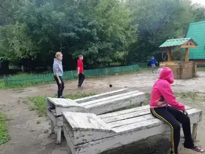Зеленая - 24