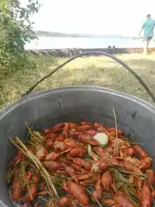 Рыбколхоз - 58
