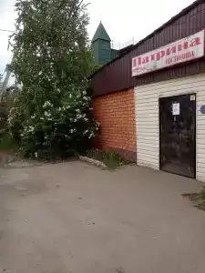 Патрина - 17