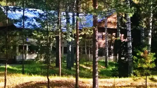 Русский лес - 29