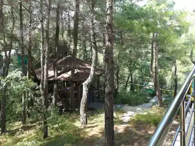 Карс - 29