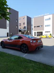 Принцесса Лягушка - 11