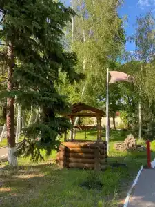 Березка - 2