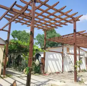 Ibrahim Evi - 7
