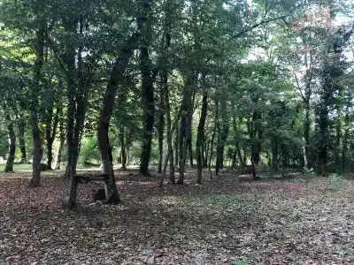 Комарово клуб - 9