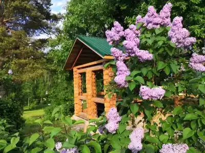 Фазенда Глухомань - 6