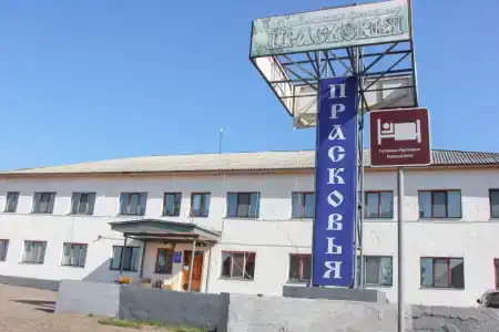 Прасковья - 10