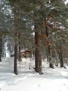 Лазурит - 49