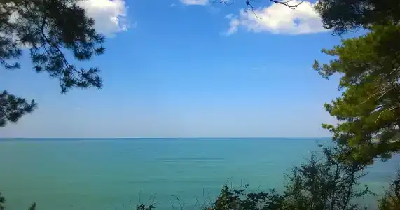 МореЛоо - 22