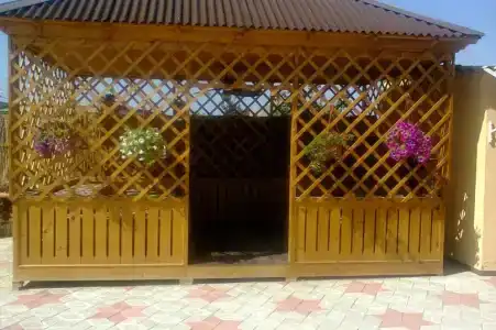 Inn Mango - 8