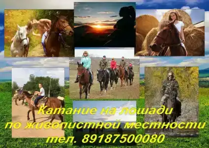 Родники - 29