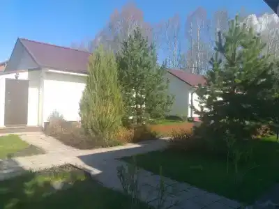 Белый Дельфин - 17