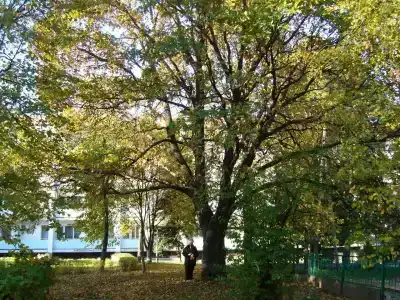 Горбатов - 7