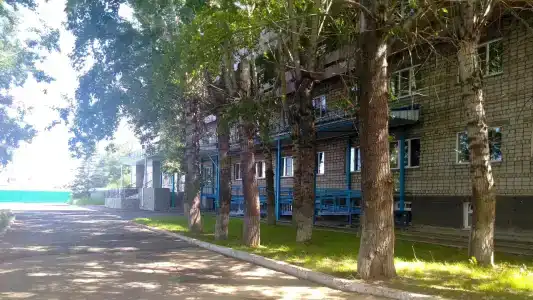 Медуница - 0