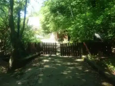 Дом лесника BBQ - 0
