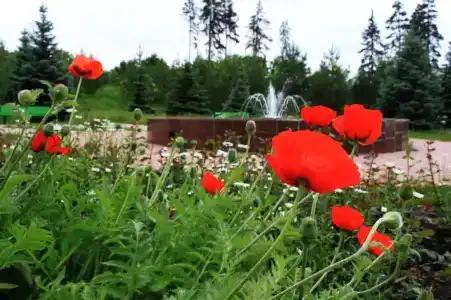 Волга - 34