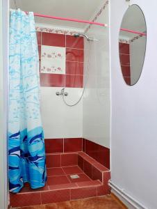Сибирские огни - 12