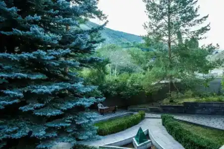 Paradise Park Resort - 3