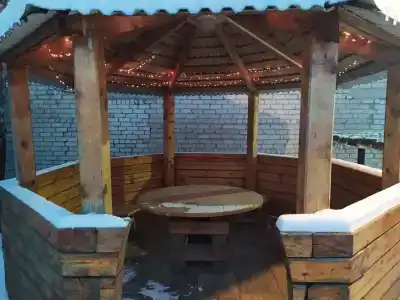 Дельфин - 2