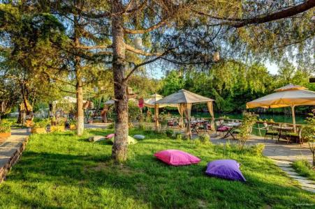 Park Mandalin - Adult only - 8