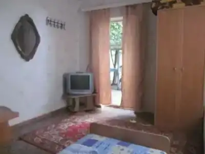 Глициния - 20
