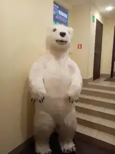 Murmansk Discovery - Discovery - 18