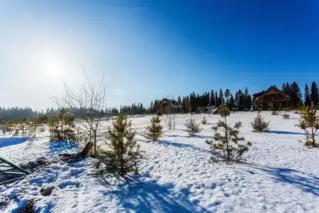 Зайкина избушка - 31