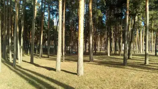 Детский санаторий имени Менжулина - 30