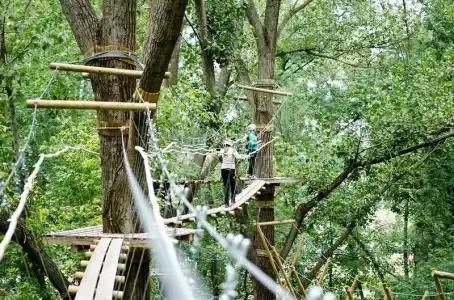 Tisza Corner - 6