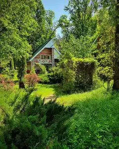 Лесная Быль - 0