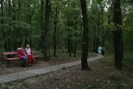 Дубравушка - 2
