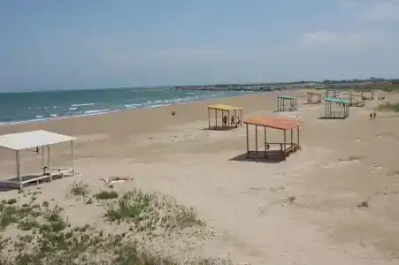 Энергетик - 43