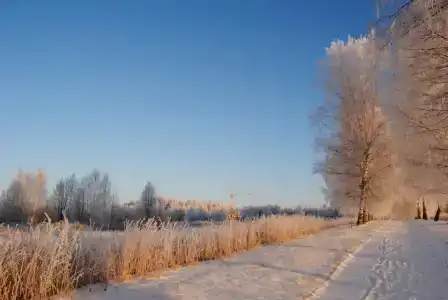 Федосьино - 19