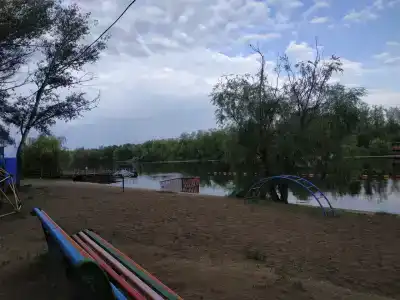 Бодрость - 61