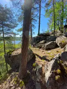 Карелия Парк - 77