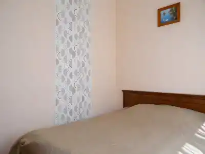 Дельфин - 7