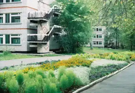 Березка - 4