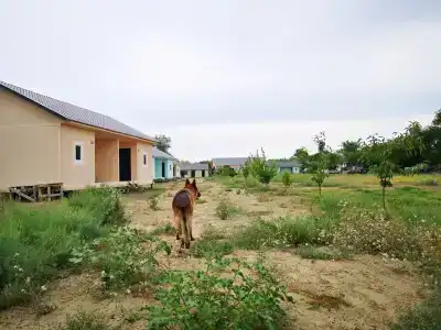 Заманиха - 22