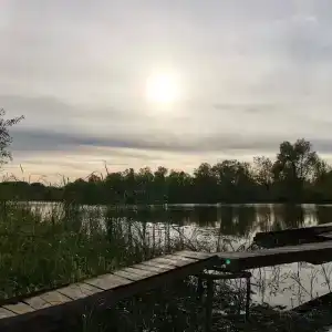 Раздолье - 0