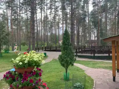 Лесная сказка - 39