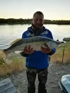 Левада - 32